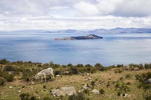 Isla del Sol on lake Titicaca in Bolivia photo