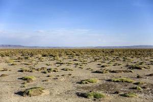 Dali Desert in Bolivia photo