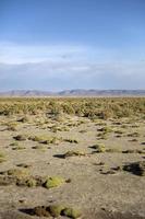 Dali Desert in Bolivia photo