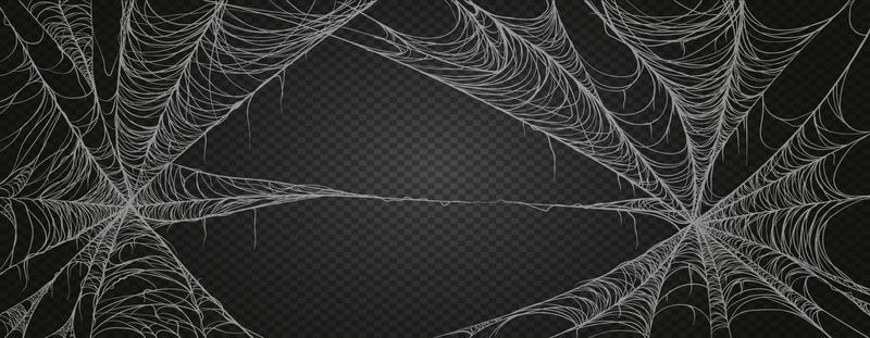 Spiderweb for halloween, spooky, scary, horror decor. Cobweb realism set. Isolated on black background.
