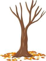 Árbol de otoño aislado sobre fondo blanco. vector