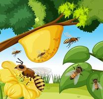 Cerrar escena con muchas abejas y colmenas. vector