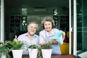 Elderly couple talking together and planting trees in pots photo