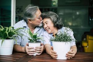 Elderly couple talking together and planting trees in pots photo