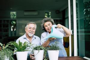 Elderly couple talking together and planting trees in pots photo