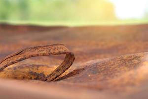 Rusty upturned lid photo