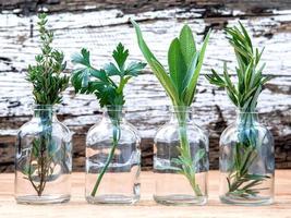 Herbs in glass bottles on a rustic background photo