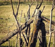 un alambre de púas y una valla de madera foto