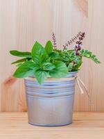 Bucket of herbs photo