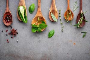 Herbs and spices in wooden spoons photo