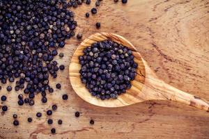 Black peppercorns in a spoon photo