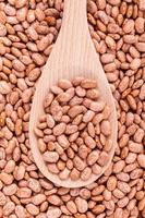 Brown pinto beans in a wooden spoon photo