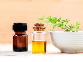 Lemon thyme essential oil photo