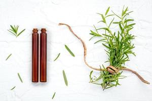 Rosemary essential oil flat lay