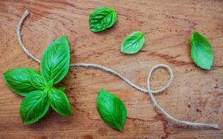 Basil leaves and twine photo