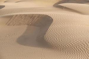 Beautiful sand dune in the Thar desert, Jaisalmer, Rajasthan, India photo