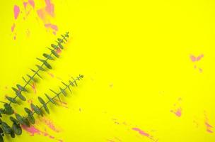 La composición de las hojas de eucalipto planas yacía en amarillo colorido vivo foto