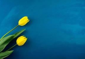 Flores de tulipán amarillo brillante plano yacía en abstracto grunge azul clásico hecho a mano foto
