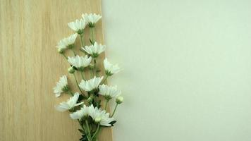 Flores blancas planas yacen sobre placa de madera y fondo blanco gris
