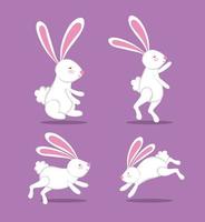 white rabbit set, cute animal image vector