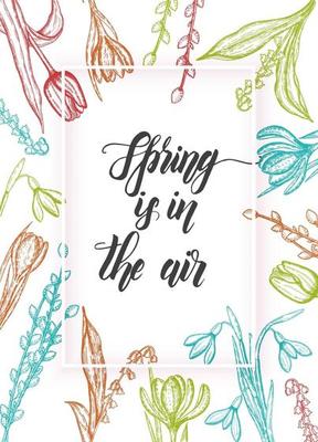 Spring card with hand drawn doodle colorful flowers-lilies of the valley, willow, tulip, snowdrop, crocus - isolated on white. Hand made lettering- Spring is in the air