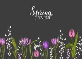 Spring background with hand drawn  flowers-lilies of the valley, tulip, willow, snowdrop, crocus  on black. for wallpaper, web page background, surface textures. Vector engraving illustration