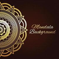 Luxury mandala background vector