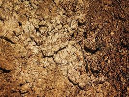Parche de suelo seco y agrietado de fondo o textura