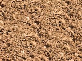 Parche de suelo seco y agrietado de fondo o textura