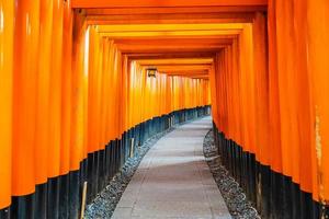 Torii gates at the Fushimi Inari shrine in Kyoto, Japan photo