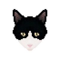 cabeza de gato. arte de pixel. mascota. ilustración vectorial. vector