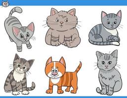 cartoon cats and kittens funny characters set vector