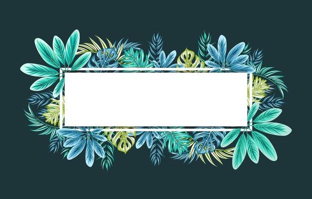 Beautiful Elegant Tropical Leaves Frame