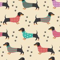 Seamless pattern with dachshunds in clothes and dog prints. Vector illustration.