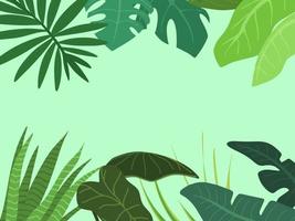 fondo de plantas tropicales exóticas vector