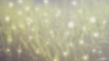 Animated Magic Background with Sparks in Green Grass video