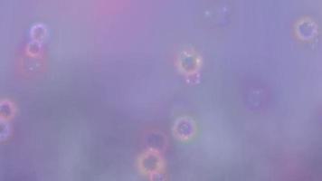 fundo de textura roxa abstrata com bokeh video