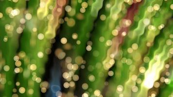 Abstract Blurred Background with Green and Yellow Bokeh video