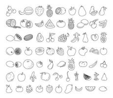 conjunto de doodle de elemento de fruta. Ilustración de doodle de vector de fruta. comida sana vegetariana, boceto de comida para la ilustración del menú