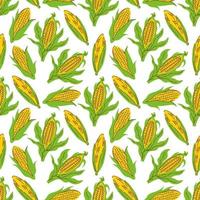 corn vector seamless pattern background vector. Background for menu, packaging, wrappers, kitchen prints, spice shop