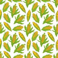 corn vector seamless pattern background vector. Background for menu, packaging, wrappers, kitchen prints, spice shop