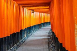 Torii gates at the Fushimi Inari shrine in Kyoto, Japan photo