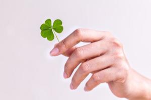 Hand holding a green clover photo