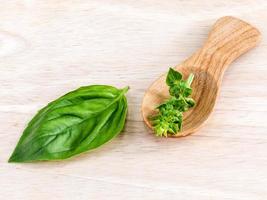 Basil leaves with wooden spoon photo