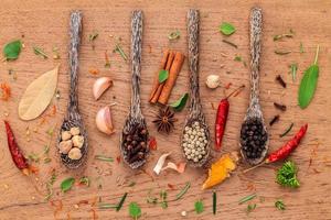 Spices in wooden spoons photo