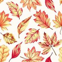 Pattern with autumn leaves vector