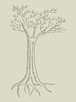 Line art illustration of a tree vector