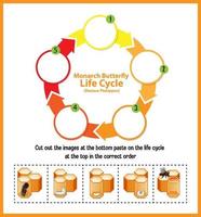 Diagram showing life cycle of Honey Bee vector