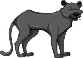 Black Panther wild animal on white background vector