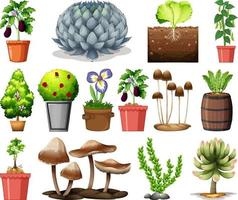 Set of different plants in pots isolated on white background vector